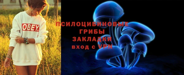 прущие крисы Алзамай