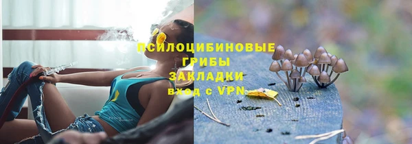 мяу мяу мука Алексин