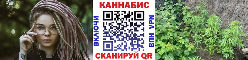 Бошки марихуана MAZAR  где купить наркотик  Межгорье 